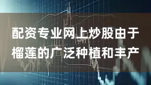 配资专业网上炒股由于榴莲的广泛种植和丰产