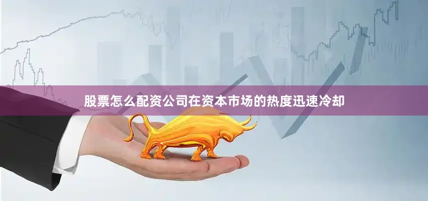 股票怎么配资公司在资本市场的热度迅速冷却